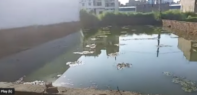 Residential Plot for sale | Near Krishna Niketan School Bypass Patna | Bairiya Bus Stand | Patna Bihar |