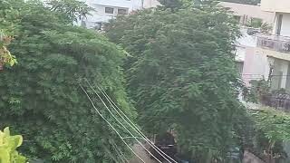 Flat for sale in Kankarbagh Patrakar Nagar