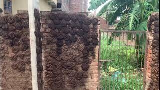 Arya samaj Road Bailey Road Rps More 60tyLakh/Kattha Front24Feet 1Km From Main Bailey Road Patna