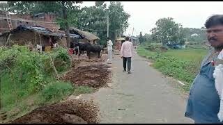 3 Lakh / kattha | Neema Halt [NEMA] Patna Gaya Railway Line Nadwan Railway Station