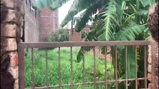 Arya samaj Road Bailey Road Rps More 60tyLakh/Kattha Front24Feet 1Km From Main Bailey Road Patna