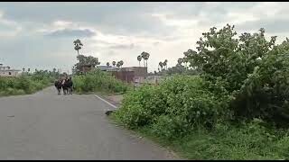 On Highway On Road Commercial Property Property Near On Bihta Sarmera Highway 3katth-1