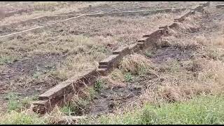 Plot for sale Sampatchak Parsa Bazar Road | 32Kattha | On Highway