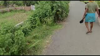 On Highway On Road Commercial Property Property Near On Bihta Sarmera Highway 3katth-2