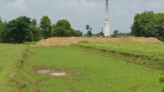 21Kattha plot for Sale | School Hospital | Near NH-139 | 11 lakh Kattha | 200 meter From NH-139 Naunatpur |