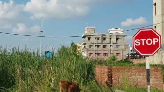 Plot Available Near Patliputra Railway Station