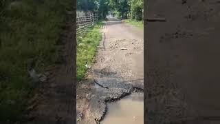 Residential Plot for sale Old Patliputra Colony Patna/ Corner Plot/ North & West/Rate 1.65Cr/kattha