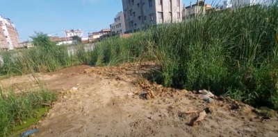 पाटलिपुत्र रेलवे स्टेशन के सामने में अपना घर होटल या हॉस्पिटल के लिए अपना प्लॉट खरीदे// Commercial plot sale in Patna