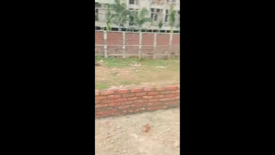 plot in patna Bailey road Patna || Saguna More ••••