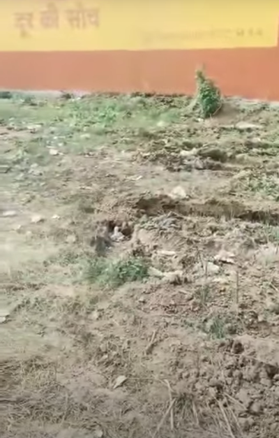 Commercial Property for Sale in Patna || Commercial Property in Bihar || AIIMS Hospital Patna