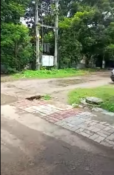 Commercial Plot for sale in Kankarbagh Patna Bihar ! 3 kattha Corner Plot ! Road - 30 & 40 Feet ! Shalimar Sweets Kankar