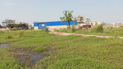 Plot for sale in Mithapur, Patna ll Plot sale near Patna railway station |l Plot in Patna