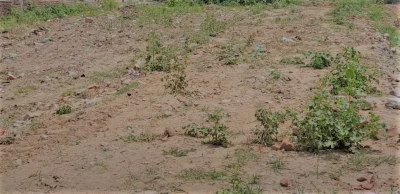 Plot Sale in Ashiyana-Digha Main Road Patna || Plot Sale Near Rajiv Nagar Patna || Plot Sale Near AG Colony