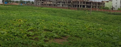 Residential Land/Plots sale in Bailey Road Patna Near Piller No.- 32 || Residential Property in Patna