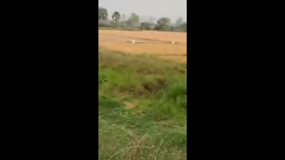 Plot in Patna under 3 Lakh || Plot in Patna City || Price of 1 Kattha land in Bihar