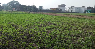 Low Cost Plot in Patna || Plot in Patna Under 50 Lakhs || Plot in Udaini Jaganpura Patna